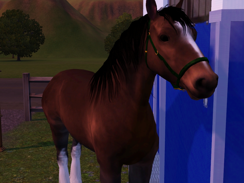 star stable download for chrome