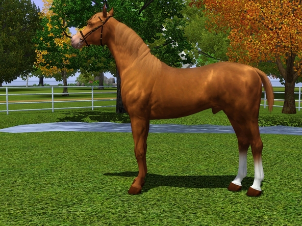 Milla's Coats [NEW GO WILD COAT PACK!!!] | Old Equus-Sims Forum